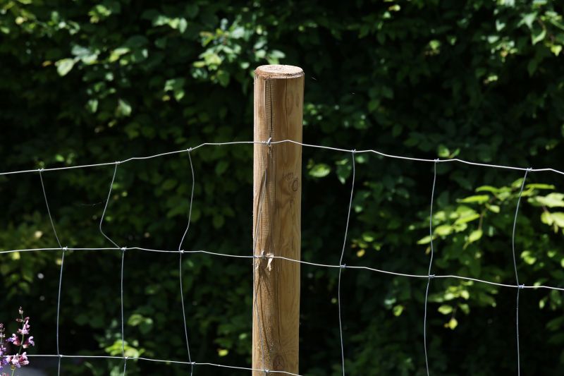 Fence Post Replacement
